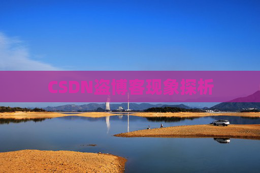 CSDN盗博客现象探析